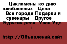 Цикламены ко дню влюбленных › Цена ­ 180 - Все города Подарки и сувениры » Другое   . Бурятия респ.,Улан-Удэ г.